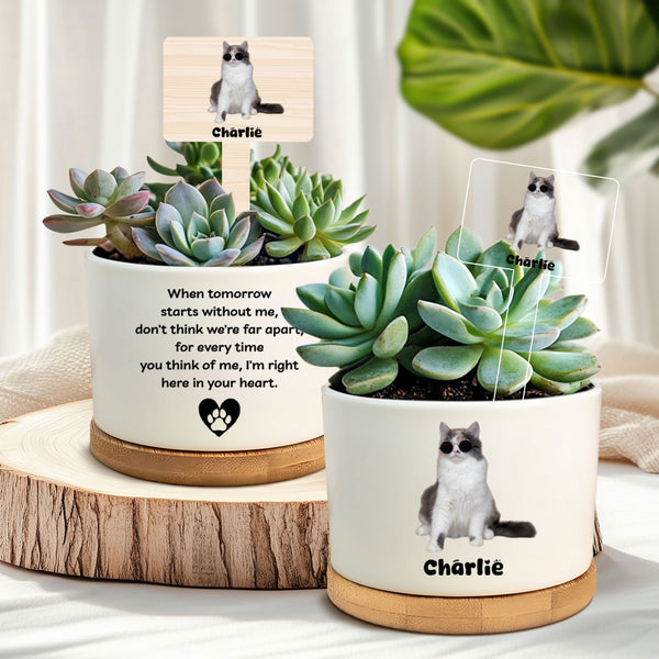 Personalized Pet Memorial Planter Sympathy Gift for Pet Lovers