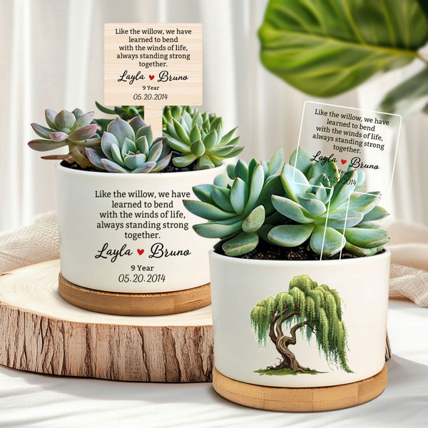 9th anniversary gift, willow anniversary, 9 year anniversary, willow tree pot, 9th Annviersary gift, anniversary present, 9 year willow gift, custom plant pot, mini plant pot, willow tree pottery, anniversary gift, pottery anniversary, gift for wife.