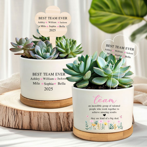Team Appreciation Plant Pot, Team Thank You Gift, Coworker Appreciation, Custom Team Gift, Custom Team Member Gift, Employee Appreciation MLN6265BQT