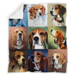 Beagle -  Blanket R151 Geembi™