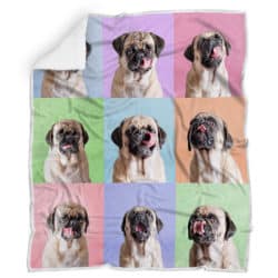 Cute Pug -  Blanket R156 Geembi™