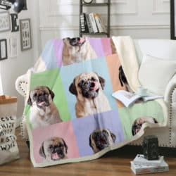 Cute Pug -  Blanket R156 Geembi™