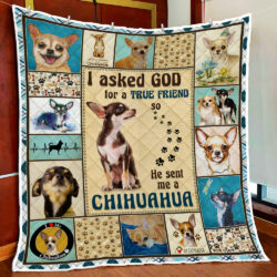 God Sent Me A Chihuahua Quilt Blanket Geembi™