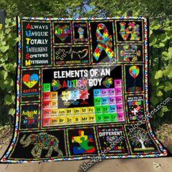 Elements Of An Autism Boy Quilt Geembi™