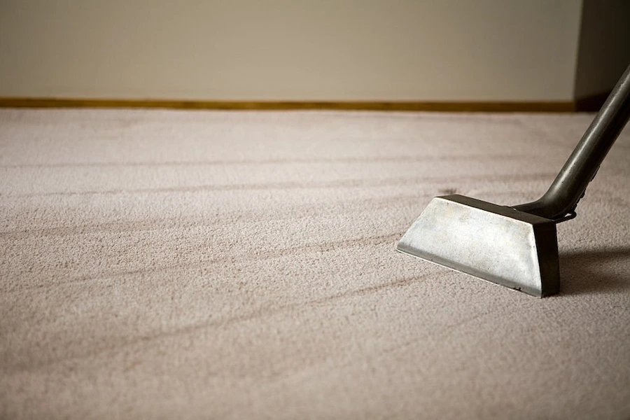 steam cleaning a rug